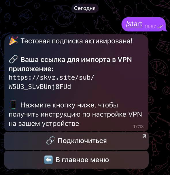 Шаг 6: Ваша ссылка доступа